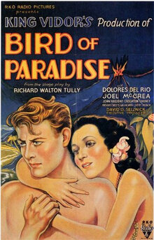 Poster of Bird of Paradise