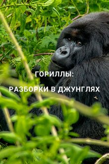 Постер фильма Гориллы: Разборки в джунглях