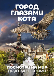 Город глазами кота