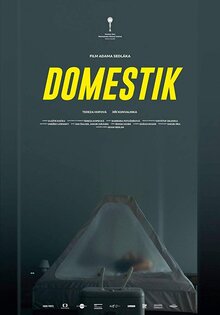 Poster of Domestik