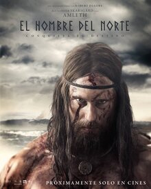 Poster of The Northman