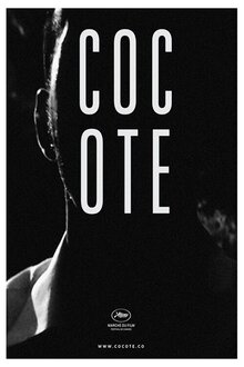 Poster of Cocote