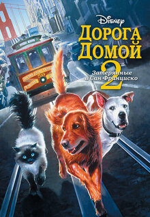 Дорога домой 2: Затерянные в Сан-Франциско