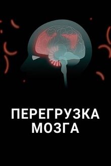 Постер фильма Перегрузка мозга