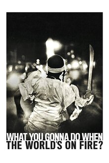 Poster of What You Gonna Do When the World's on Fire?
