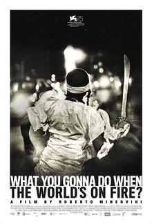 Poster of What You Gonna Do When the World's on Fire?