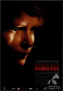 Poster of Far from the Window