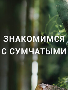 Poster of Знакомимся с сумчатыми