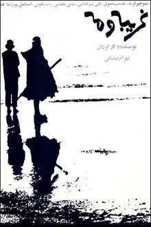 Poster of Stranger and the Fog