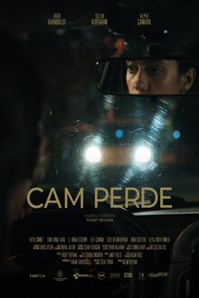 Poster of Glass Curtain