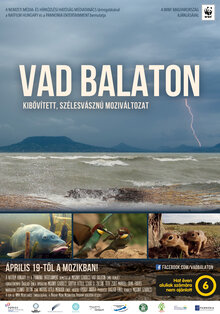 Poster of Balaton