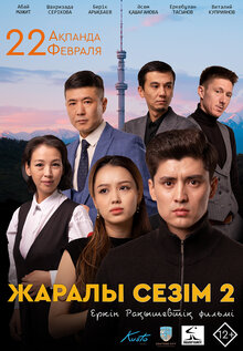 Постер фильма Жаралы сезім 2