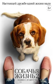 Poster of A Dog's Journey