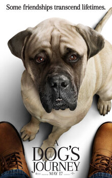 Poster of A Dog's Journey