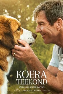 Poster of A Dog's Journey