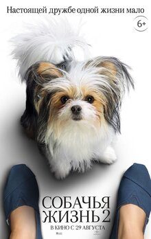 Poster of A Dog's Journey