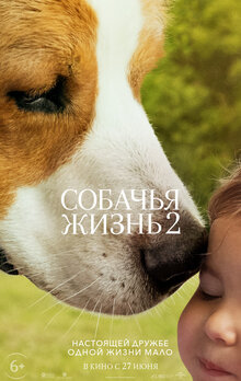 Poster of A Dog's Journey