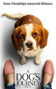 Poster of A Dog's Journey