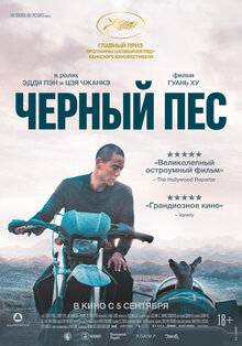 Poster of Black Dog