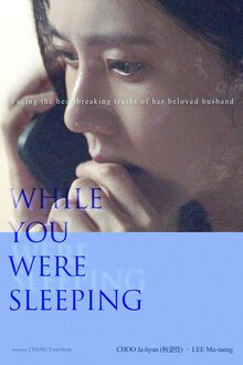 Poster of While You Were Sleeping