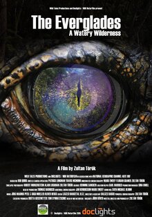 Poster of The Everglades