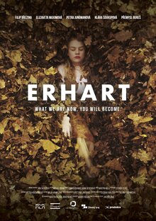 Постер фильма Erhart