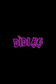 Poster of Dìdi