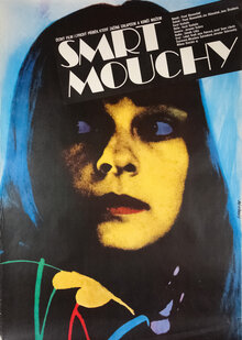 Poster of The Death of a Fly