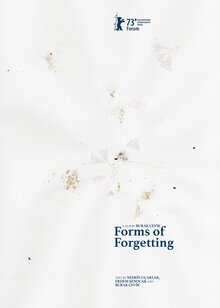 Poster of Forms of Forgetting