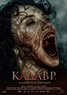 Poster of The Funeral