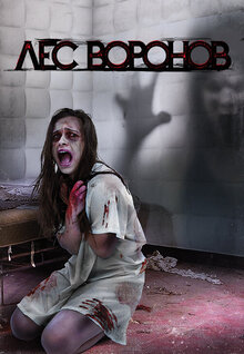 Poster of Ravenswood