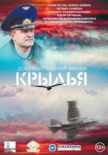 Poster of Krylya