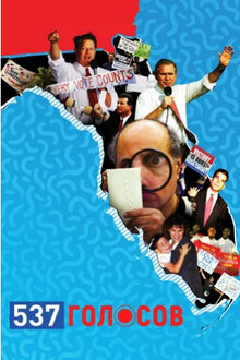 Poster of 537 Votes
