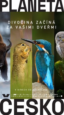 Poster of Planet Czechia
