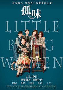 Poster of Little Big Women