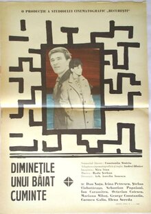 Poster of The Mornings of a Sensible Youth