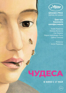 Poster of The Wonders