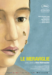 Poster of The Wonders