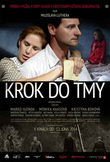 Poster of A Step Into the Dark