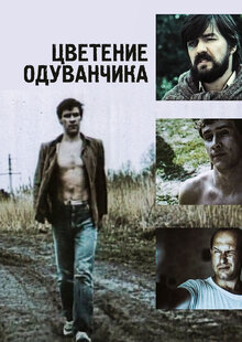 Цветение одуванчика