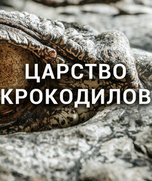Poster of Царство крокодилов
