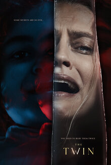 Poster of The Twin
