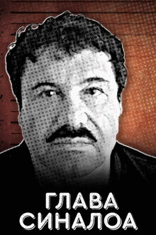 Poster of The CEO of Sinaloa