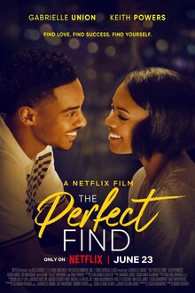 Poster of The Perfect Find