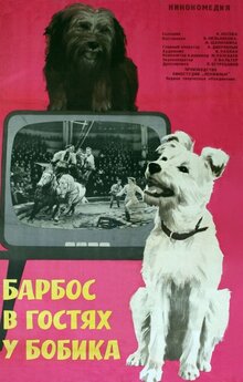 Barbos v gostyakh u Bobika