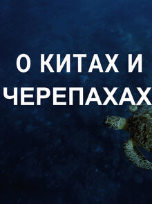 Poster of О китах и черепахах