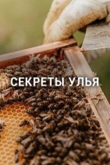 Poster of Secrets of the Hive