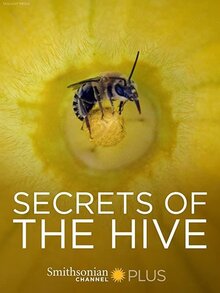 Poster of Secrets of the Hive