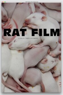 Poster of Rat Film