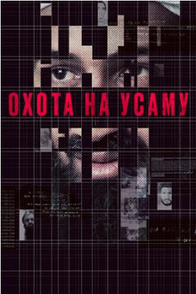 Poster of Manhunt: The Inside Story of the Hunt for Bin Laden